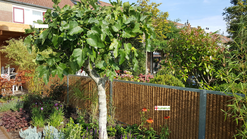 Kokowall tuinscherm laag met JB paal