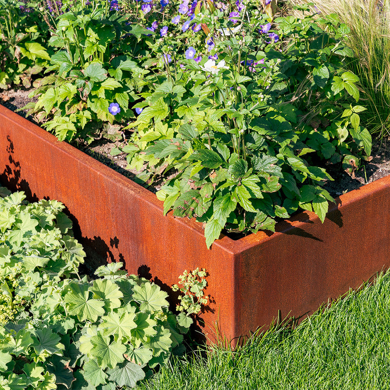 CARREZ zonder bodem 140 x 140 x 20 cm - Cortenstaal plantenbak