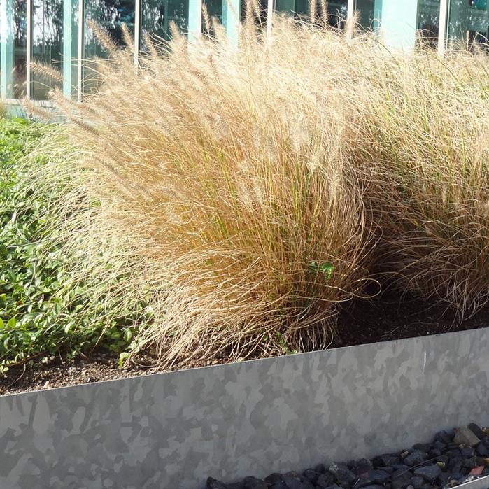 Binnenhoek kantopsluiting verzinkt - rechte rand | 300 x 2 x 150 mm