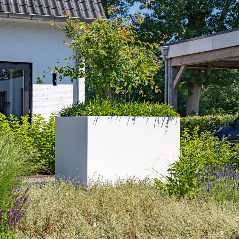 Aluminium Pflanzkübel CARREZ mit Rollen | 100 x 50 x 50 cm