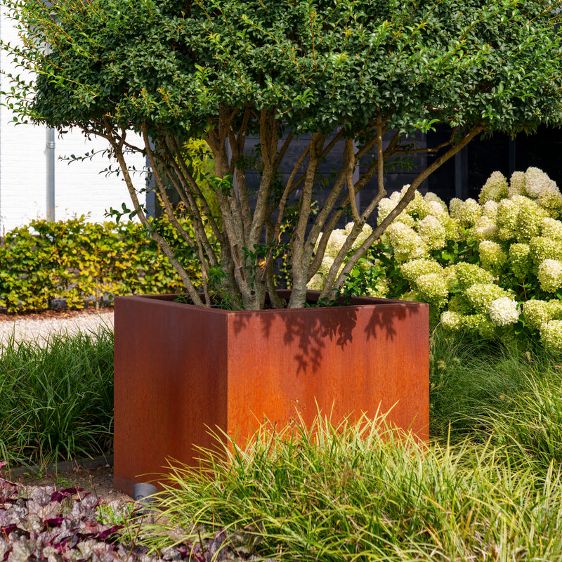 CARREZ 40 x 40 x 40 cm - Cortenstaal plantenbak met bodem