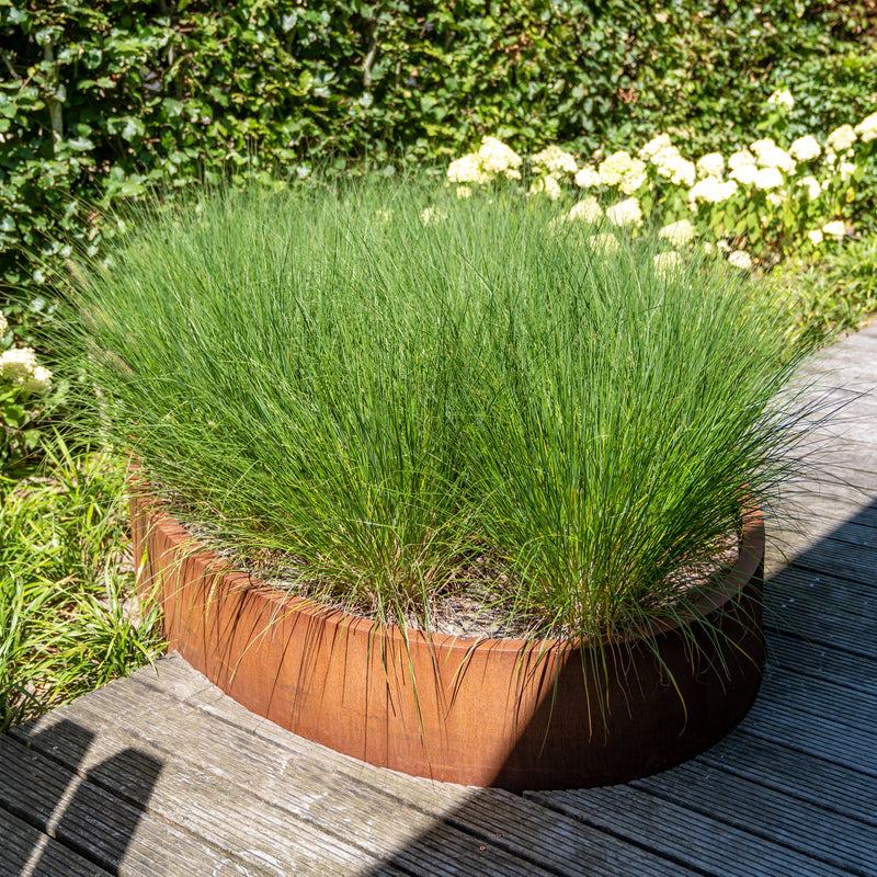 ELLIPSE ovale cortenstaal plantenbak 120x80x40 open