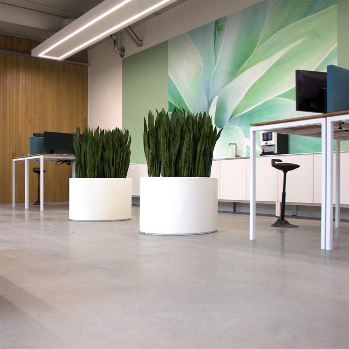 Plantenbak Circum  kantoor 