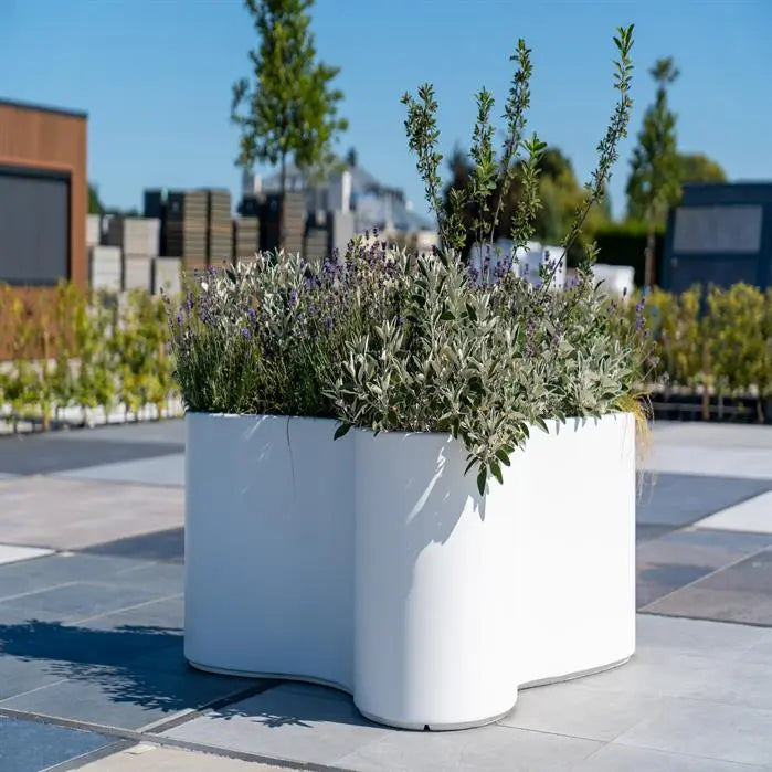 Polyester Pflanzkübel ORGAN | 161 x 134 x 60 cm