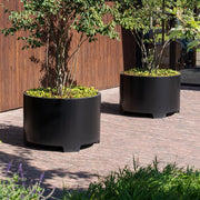 Adezz_Circum_planter_met_poten