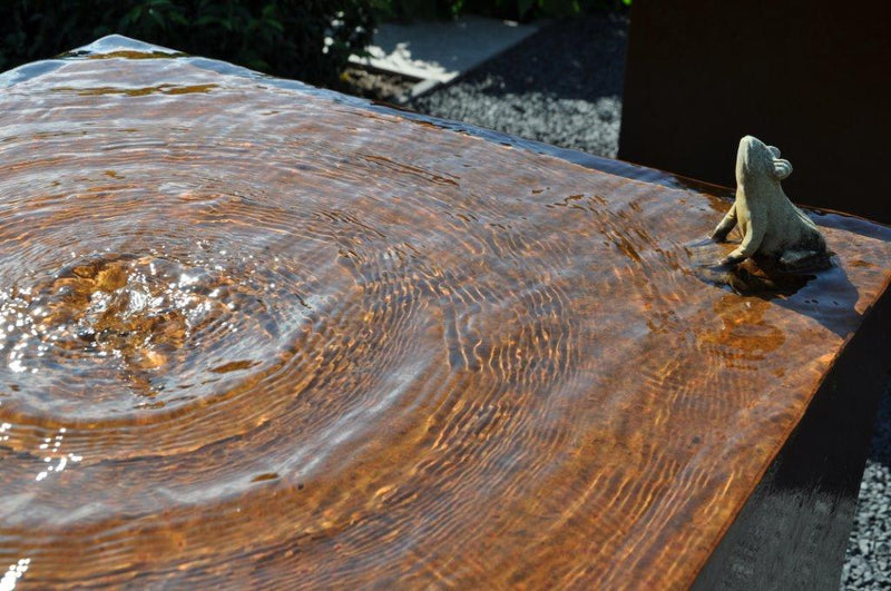 Adezz_cortenstaal_waterblok kikker