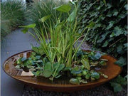 adezz waterschaal corten