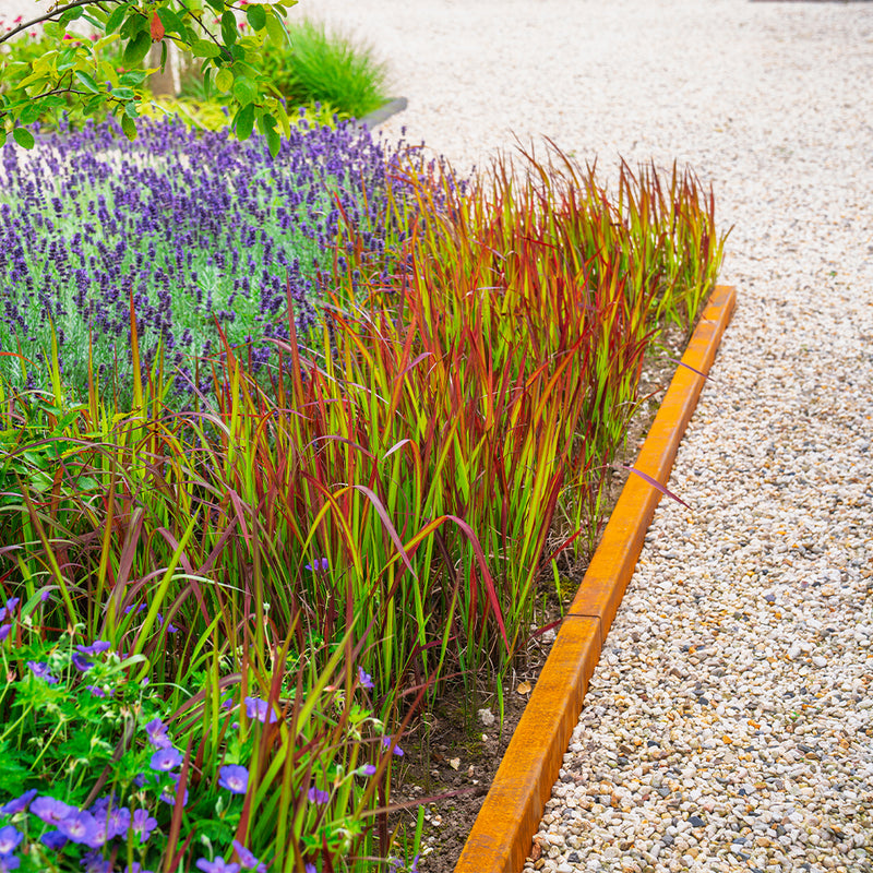 Cortenstaal overzetprofiel recht | 2300 x 2 x 50 mm