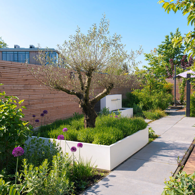 CARREZ aluminium plantenbak 120x120x60 cm met bodem