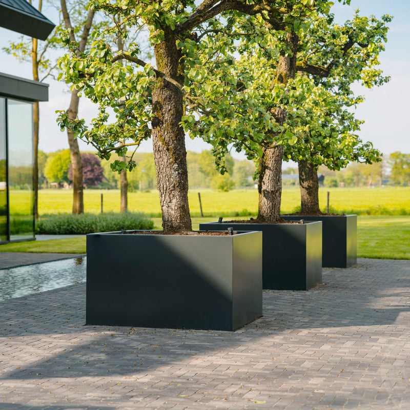 CARREZ aluminium plantenbak 120x40x80 cm met bodem