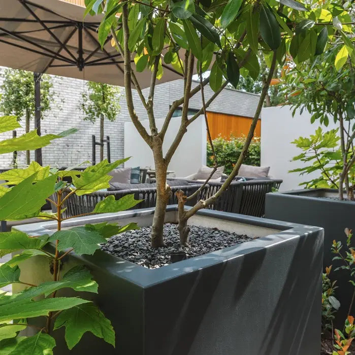 Polyester Pflanzkübel Carrez | 40 x 40 x 100 cm