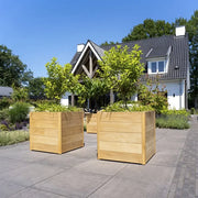 Carrez planter nieuw design 3