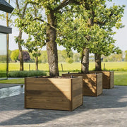 Carrez planter nieuw design 2