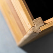 Carrez planter nieuw design 1