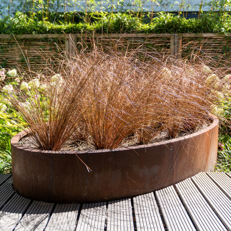 ELLIPSE ovale cortenstaal plantenbak 200x120x40
