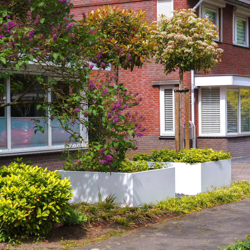 CARREZ aluminium plantenbak 120x40x80 cm met bodem