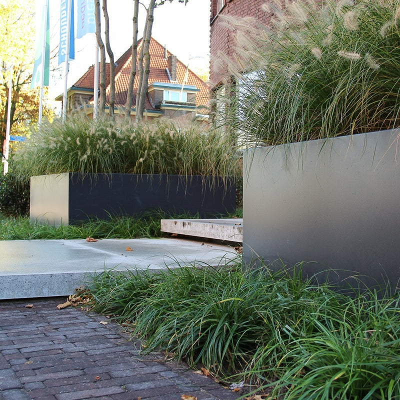 CARREZ aluminium plantenbak 100x100x60 cm zonder bodem