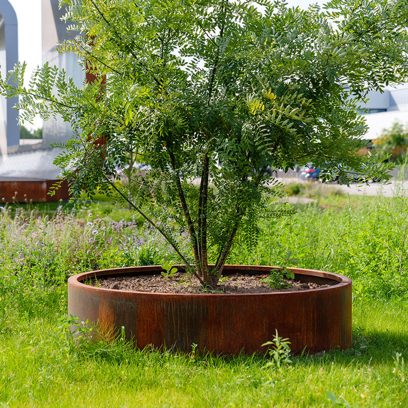 CIRCUM ronde cortenstaal plantenbak 120x80 open