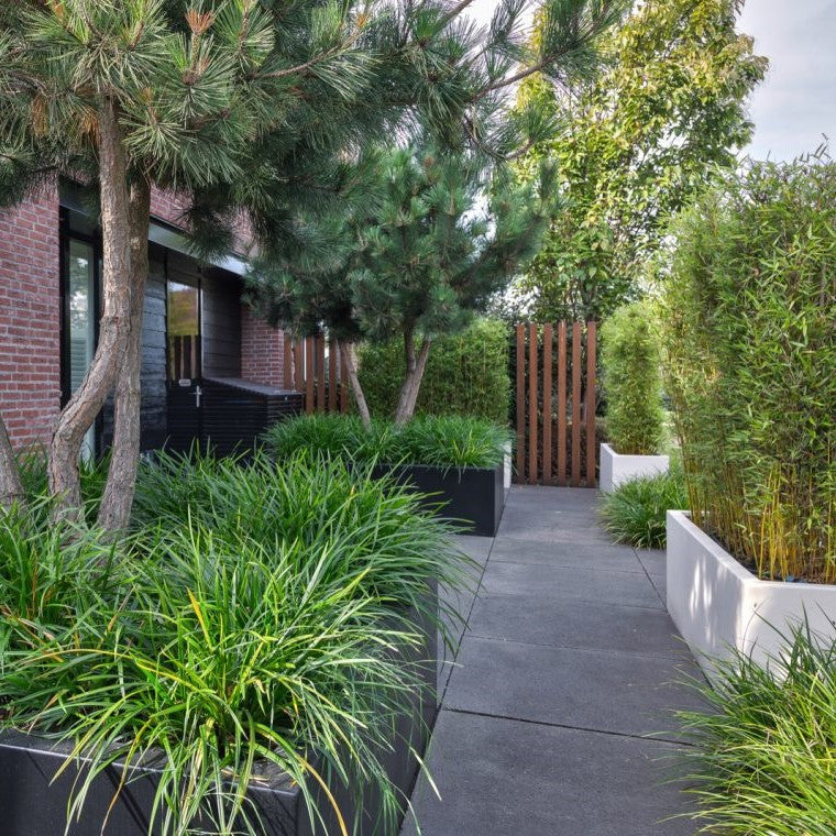 CARREZ aluminium plantenbak 300 x 100 x 80 cm zonder bodem