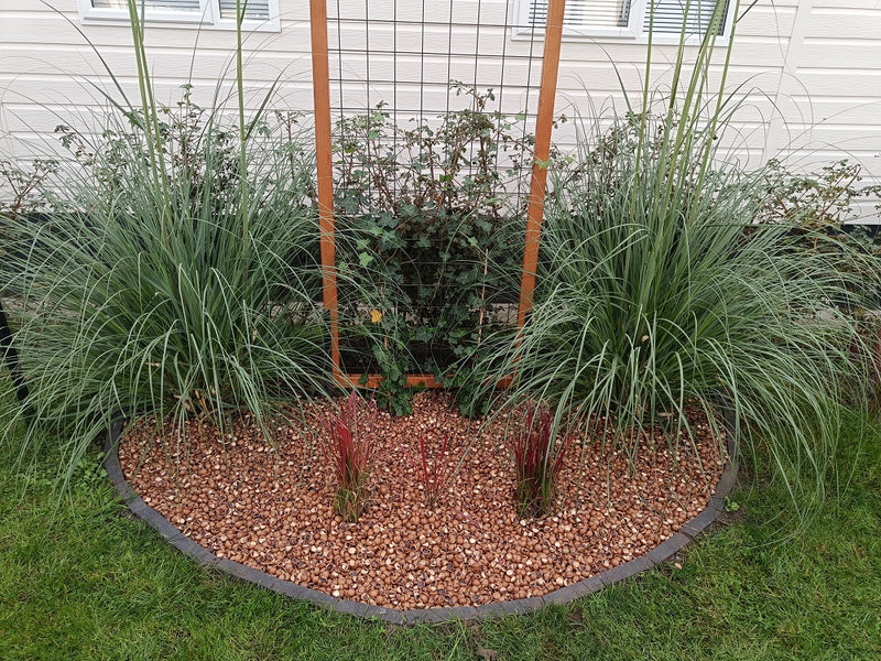 sfeer border met macadamia doppen