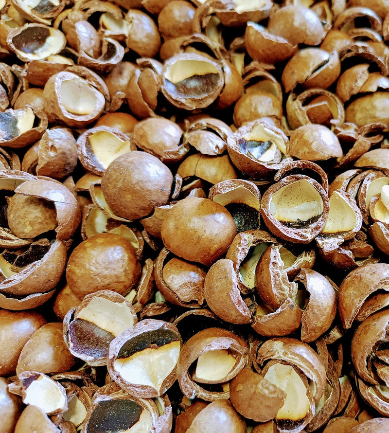 Macadamia doppen bodembedekker