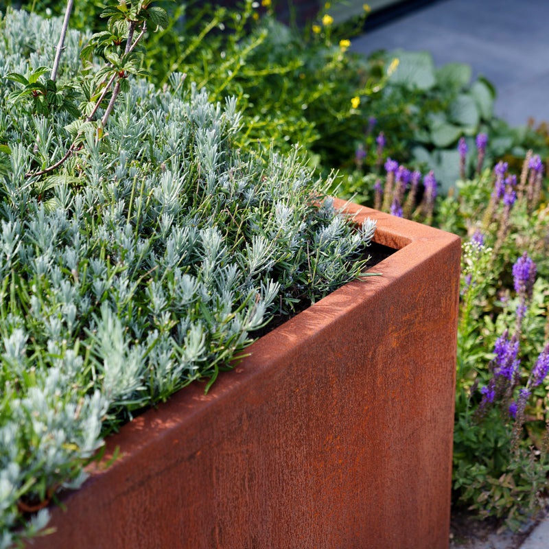 CARREZ met wielen 120 x 120 x 60 cm - Cortenstaal plantenbak