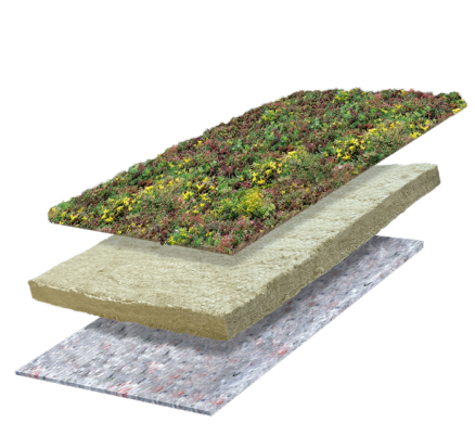 Lichtgewicht sedumdak 3 laags 