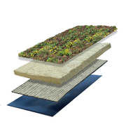 Systeemopbouw lichtgewicht Sedumdak