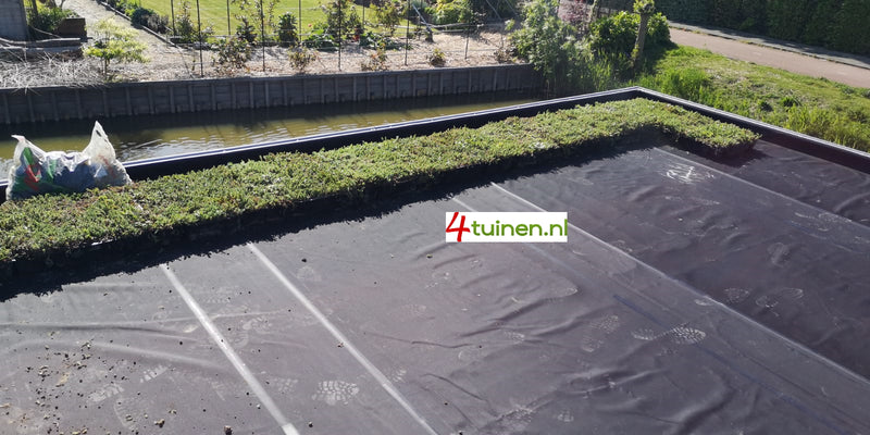 Overkapping Delft met Sedumtrays 