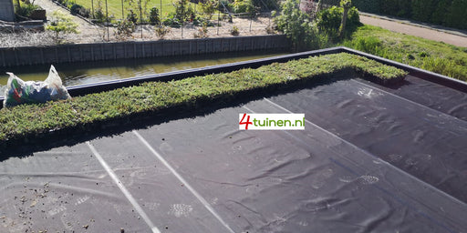 Overkapping Delft met Sedumtrays 