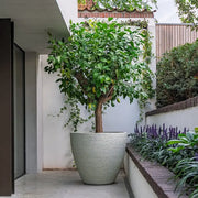 Sfeer Stonecore LIVE