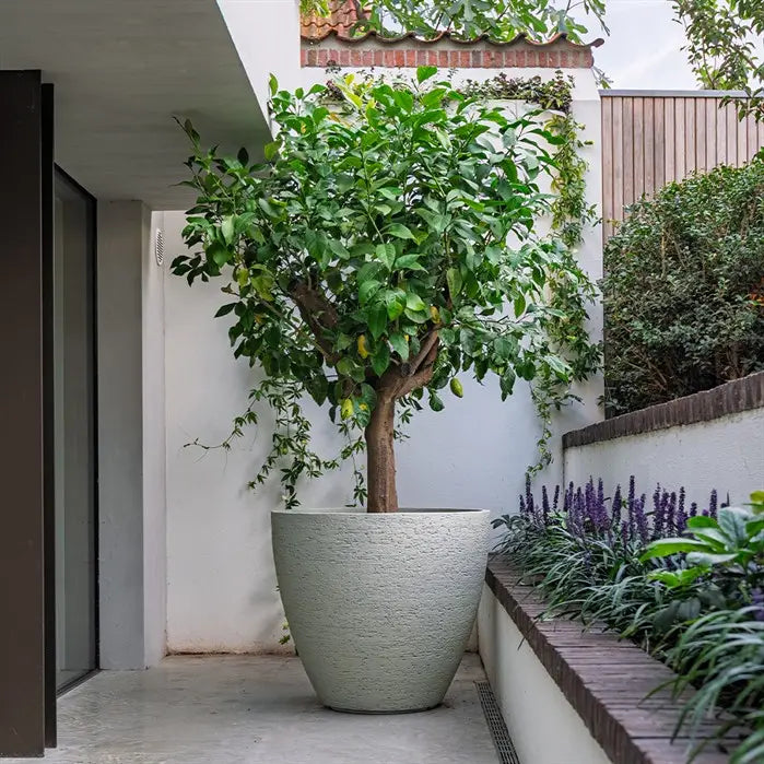 Stonecore planter LIV