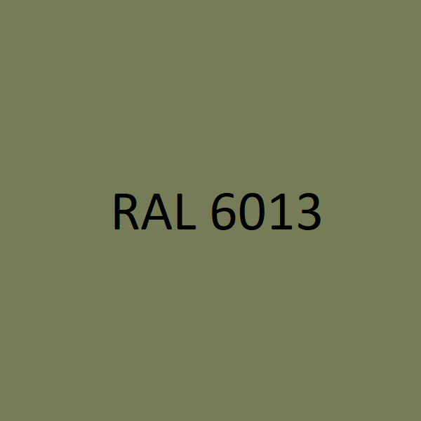 RAL 6013