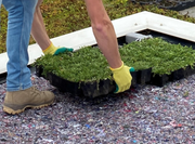 Beschermdoek met sedumtrays