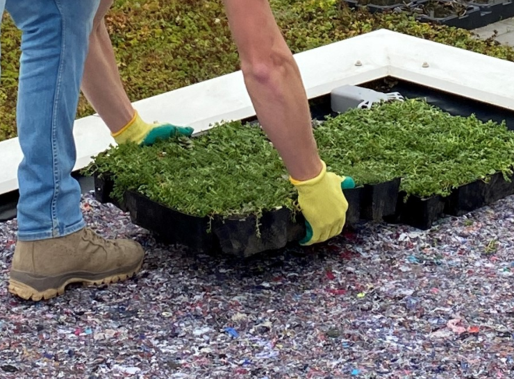 Beschermdoek met sedumtrays