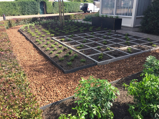 natuurlijke voortuin met perzikstenen