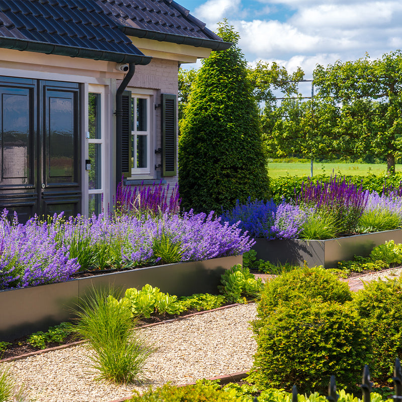 Stützwand - Gerade | 200 x 25 x 50 cm | Aluminium