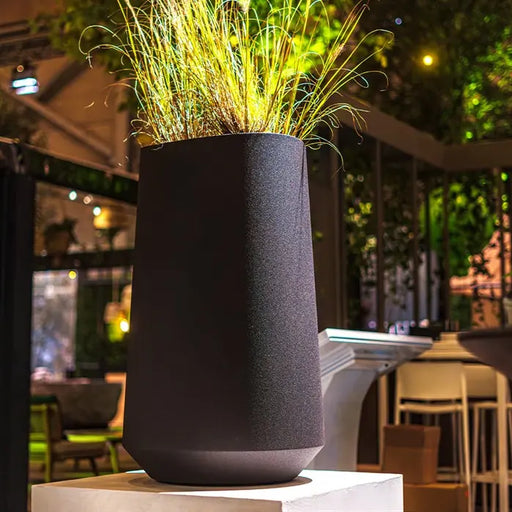 VELIS_1_AC7C6B4A-AE8A-47F8-88E4-41399B0F6002