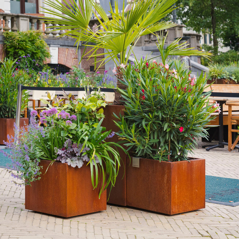 CARREZ vierkante cortenstaal plantenbak 100x100x80 met wielen