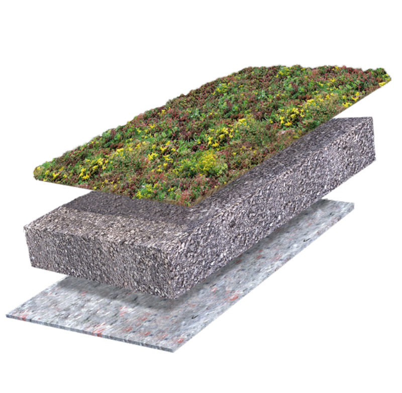 Systeemopbouw Traditioneel sedumdak 15-20°