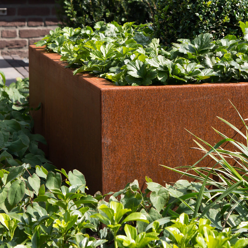 CARREZ vierkante cortenstaal plantenbak 140x140x60 open