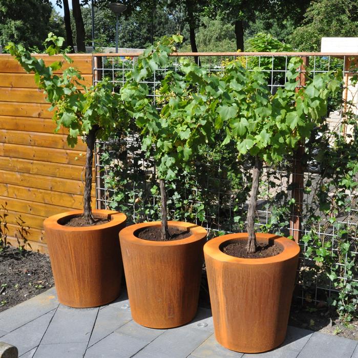 CONIC conische cortenstaal plantenbak 80x60