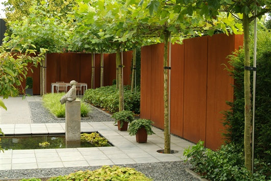 cortenstaal tuinmuren met dakplatanen