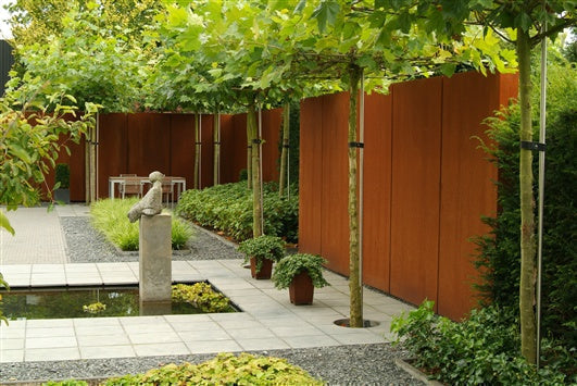 Adezz corten tuinwanden met dakplatanen 