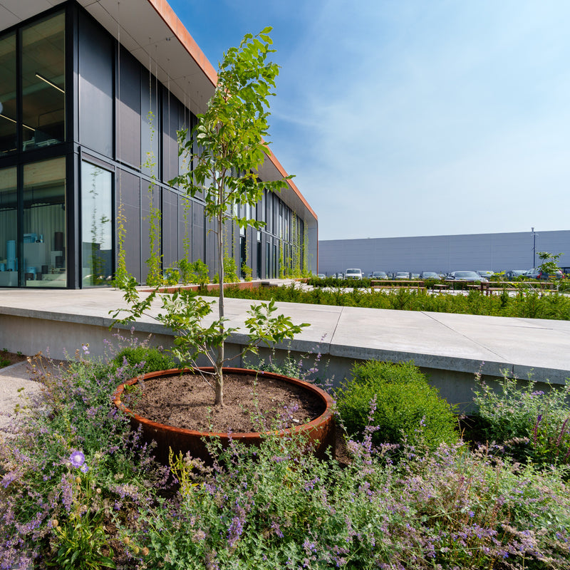 Cortenstahl Pflanzkübel CIRCUM ohne Boden | ø 80 x 40 cm