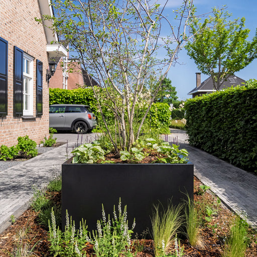 Carrez connect gecoat staal