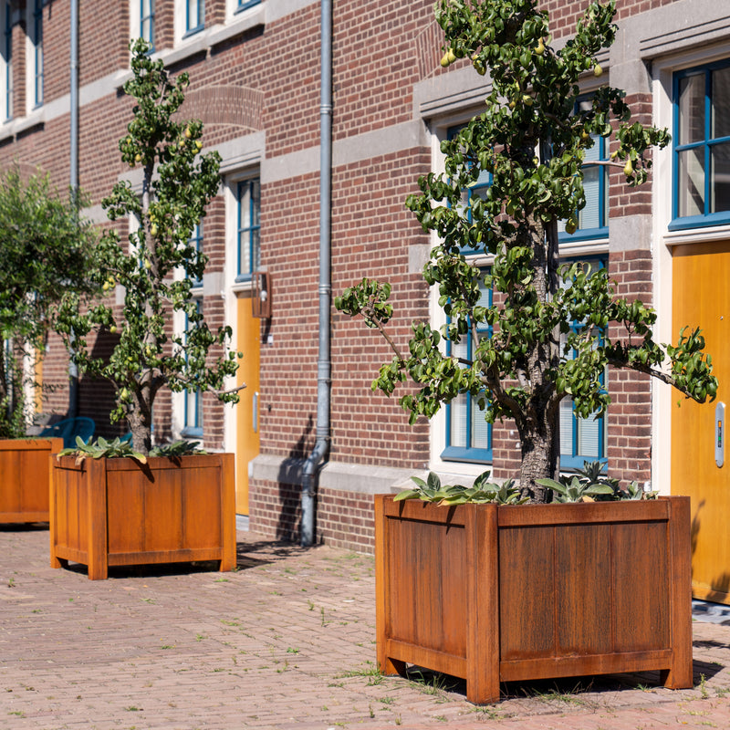 YORK vierkante cortenstaal plantenbak 80x80x80 uitneembare zijwand