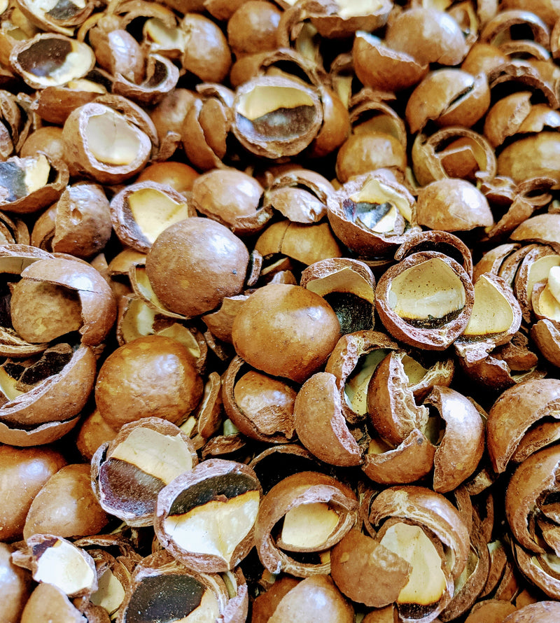 macadamia doppen gebroken