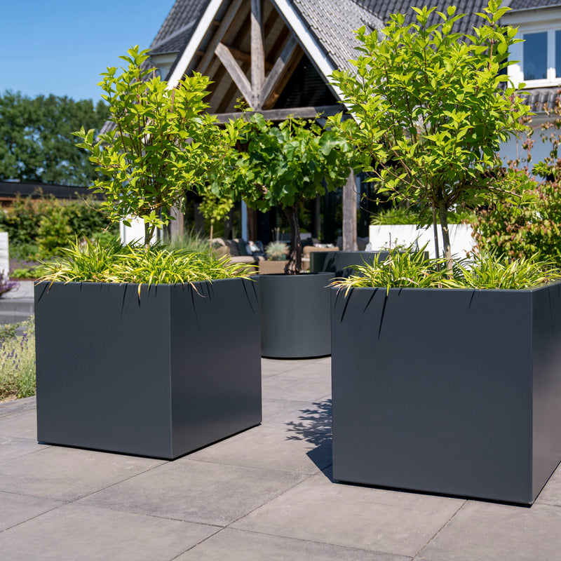 Aluminium Pflanzkübel CARREZ mit Rollen | 120 x 50 x 50 cm