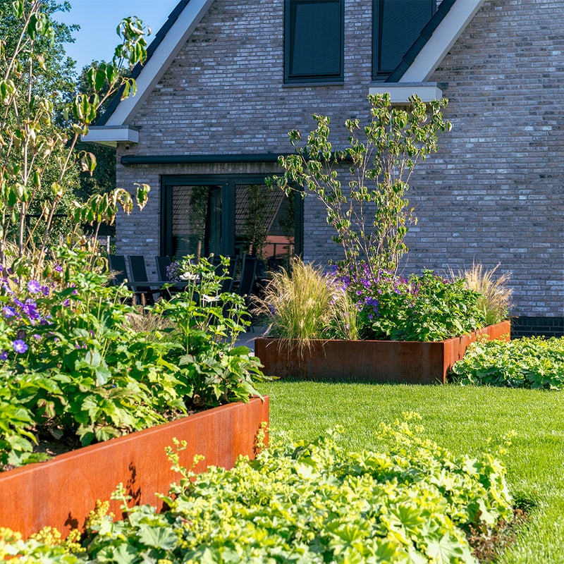 CARREZ zonder bodem 140 x 140 x 20 cm - Cortenstaal plantenbak